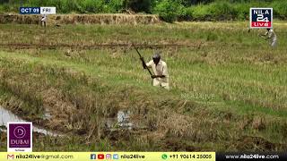 അനിശ്ചിതത്വങ്ങൾക്കൊടുവിൽ നെല്ല് സംഭരണം ആരംഭിച്ചതിന്റെ ആശ്വാസത്തിൽ കർഷകർ