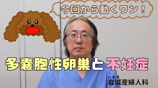 不妊症の原因で多い『多嚢胞性卵巣』って何？