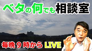 ベタの雑談と・・・！【2022年5月1日】ベタの何でも相談室