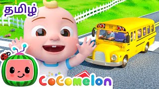 வீல்ஸ்  ஆன் தி பஸ் (ஸ்கூல் வெர்ஷன்) | Wheels on the Bus | CoComelon Tamil - தமிழ் குழந்தை பாடல்கள்