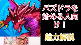 自分の思うパズドラの魅力【パズドラ】パズドラを今から始める人へ