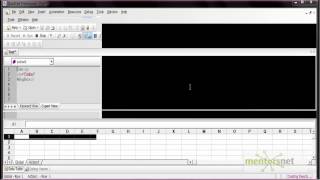 QTP 17: Visual Basic Primer - Using Scalar Variable