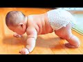 🔴 [LIVE] - 30 minutes Funniest and Cutest Babies - Cute Baby Video 🥰 🥰🥰 II Cool Peachy