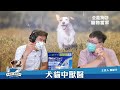 22.10.17【全能狗s 寵物當家】連建閔獸醫師談「犬貓中獸醫」