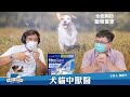 22.10.17【全能狗s 寵物當家】連建閔獸醫師談「犬貓中獸醫」