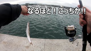 [カマス釣り初心者] ルアーとジグサビキどちらが釣れる？