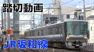 【踏切】JR阪和線【鉄道】Railroad crossing Osaka Japan part 40