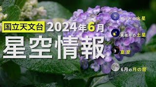 2024年6月の星空情報（明け方の火星／真夜中の土星／夏至／6月の月の暦）