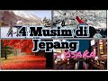 Mengenal 4 musim yang ada di jepang