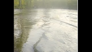 Läsäkoski 24 5 2014 large trout hits a streamer!