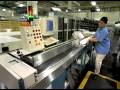 postal service mail sorters processors and processing machine operators