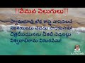 స్వానుభూతి లేక శాస్త్ర వాసనలచే మన వేమన వెలుగులు