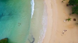 Virgin Atlantic Destination Guides: Jamaica