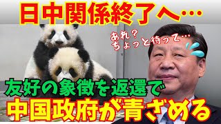 【海外の反応】日中関係終了の始まり！？「パンダは全部返す！」日本の衝撃の決定に中国が青ざめるも日本政府は中国の嘆願を拒否！【世界の反応】