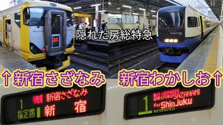 【地味な存在の特急列車】新宿さざなみ•新宿わかしお 秋葉原駅発車 E257系500番台•255系+α