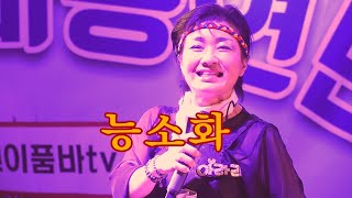 아라리품바 - 능소화 (원곡: 가수성심이)