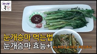 [눈개승마 효능과 먹는법]★면역력강화최고봉★goatsbeard