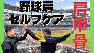 【野球肩】肩甲骨の動かし方〜肩甲上腕リズムの作り方〜