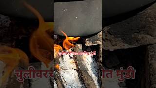 चुलीवरची झणझणीत मुंडी#आगरी #महाराष्ट्रियन #shortsfeed #shortsvideo #viral #indianfood #shorts