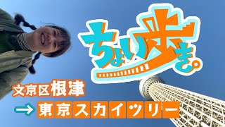 ちょい歩き。#1　歩き人:玉遥香(ターリーターキー) 〜文京区根津から東京スカイツリーまで〜