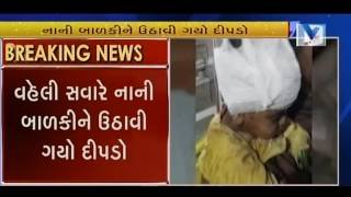 Panther attack on little Girl at morning time in Amreli | Vtv Gujarati