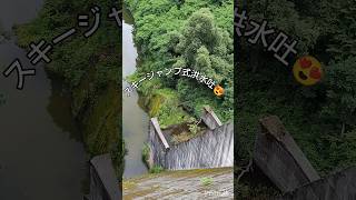 黒又川第一ダム (新潟県) ダムカード Ver.1.0(2018.04) #short #dam #スキージャンプ式洪水吐 #japan