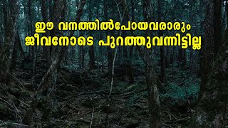 ഈ വനത്തിൽപോയവരാരും ജീവനോടെ പുറത്തുവന്നിട്ടില്ല | Metro Post