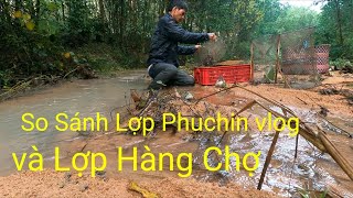 So Sánh Lợp Bẫy Cua Đồng Phuchin Vlog và Hàng Chợ | Bẫy Cua Đồng | Cua Đồng | Phú 9 vlog