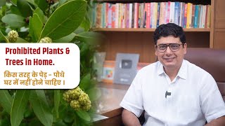 Prohibited Plants & Trees in Home | Ashish Mehta