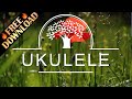 Background Instrumental Royalty Free Stock Music for Videos - Ukulele Upbeat Fun Folk Positive Happy