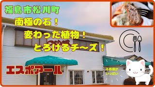 南極の石！変わった植物！見てて飽きないおいしい老舗の洋食屋さん『エスポアール』/福島市松川町【すみっコどらいぶ】