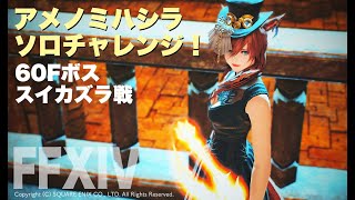 【FF14】赤魔ソロ：アメノミハシラ60F攻略／スイカズラ戦