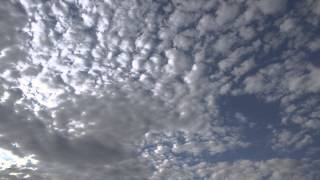 【4K/HD動画素材SKY021】空、雲、鳥 【Stock Footage Video】sky,cloud,bird