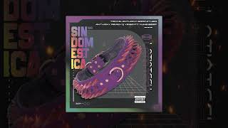 Sin Domesticar rmx - Yung Beef, Anthony Ready \u0026 Yeigo, Tomy G, Anthony Godfather (Latin Tech)