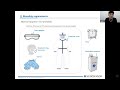 COVID-19 ECHO Session #29: Manufacturers of COVID-19 Rapid Diagnostics Tests: STANDARD Q