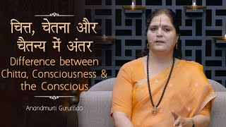 चित्त, चेतना और चैतन्य में अंतर | Chitta, Consciousness \u0026 the Conscious | Anandmurti Gurumaa