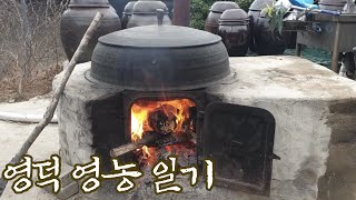 잡고기 젓갈, 깻잎 장아찌 만들기 - 영덕영농일기/생활의 달인 깻잎김치