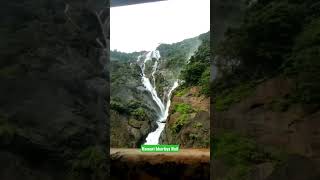 😍😍🥰❤Dudhsagar Waterfalls From Train🔥🥰😊💜 #shorts #indianrailways #dudhsagar