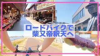 ロードバイクで柴又帝釈天へ　江戸川サイクリングロード　柴又散策！