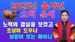 [2025년 을사년 소띠운세] 조상의 도움이 있겠으나 말조심! 교통사고 주의!