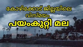 കോഴിക്കോടിന്റെ വിസ്മയം പയംകുറ്റി മല /kozhikkod tourist  place payamkuttimala