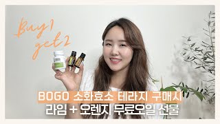 💫도테라보고 ✔️Buy 소화효소 테라지 ✔️Get 라임오일+오렌지오일 | 오일백과 제품백과 선물 황근영그룹홈페이지 가입