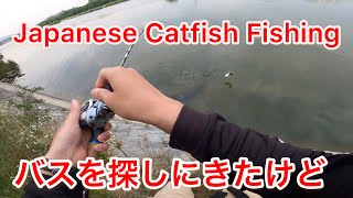 癒しのズーナマゲーム　Japanese Catfish Fishing