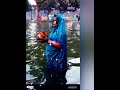 asiya puran hoy song chhath puja ke geet shorts youtubeshorts ytshorts viral status shorts reels