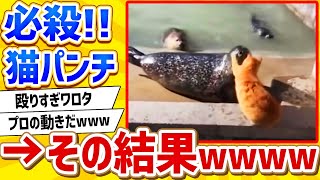 【2ch動物スレ】猫パンチ最強が証明されてしまうwwww