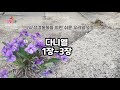 24'성경통독프로젝트 /쉬운성경/한글,영어자막/우리말성경 / 다니엘1장,2장,3장  /성경통독/ 성경읽는김배우