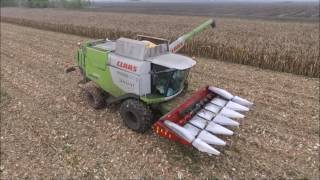 Kukorica Aratás / Corn Harvest