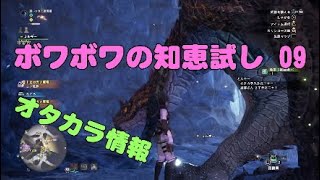 もう迷わないオタカラ探し・ボワボワの知恵試し０９*