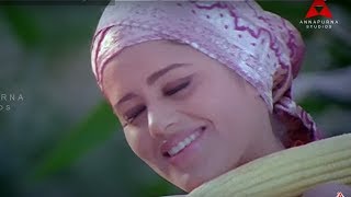 Om Ani Video Song - Sri Seetharamula Kalyanam Chothamu Rarandi - Venkat, Chandini
