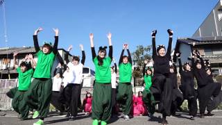 [4K]福井大学よっしゃこい　2016バサラカーニバル 浪花駐車場会場